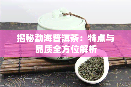 揭秘勐海普洱茶：特点与品质全方位解析