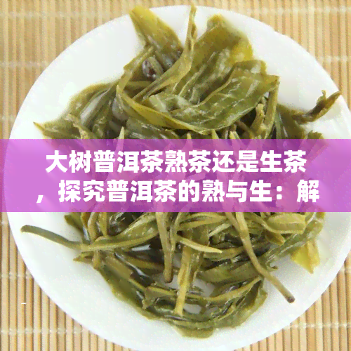 大树普洱茶熟茶还是生茶，探究普洱茶的熟与生：解析大树普洱茶的选择