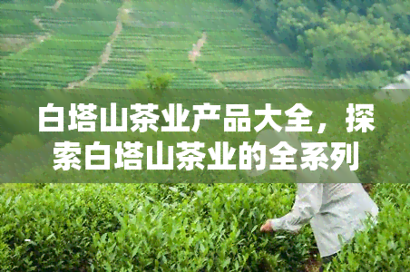 白塔山茶业产品大全，探索白塔山茶业的全系列产品