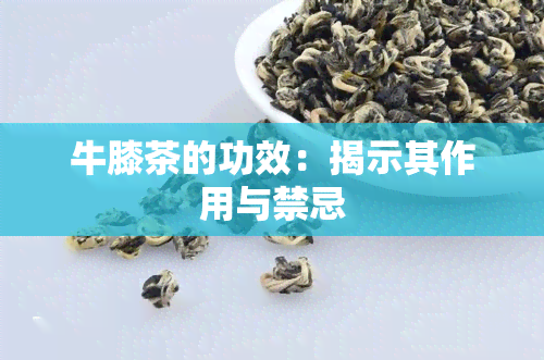 牛膝茶的功效：揭示其作用与禁忌