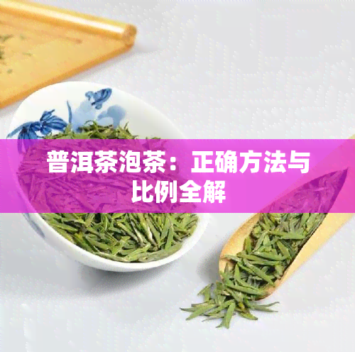 普洱茶泡茶：正确方法与比例全解