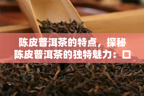 陈皮普洱茶的特点，探秘陈皮普洱茶的独特魅力：口感、功效与文化解析