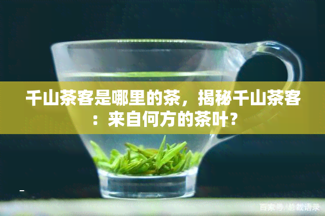 千山茶客是哪里的茶，揭秘千山茶客：来自何方的茶叶？