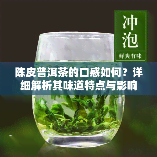 陈皮普洱茶的口感如何？详细解析其味道特点与影响因素