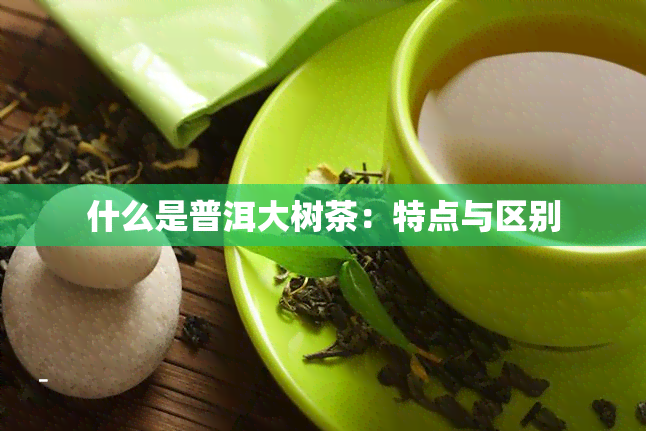 什么是普洱大树茶：特点与区别