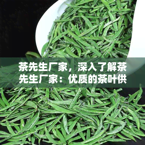 茶先生厂家，深入了解茶先生厂家：优质的茶叶供应商