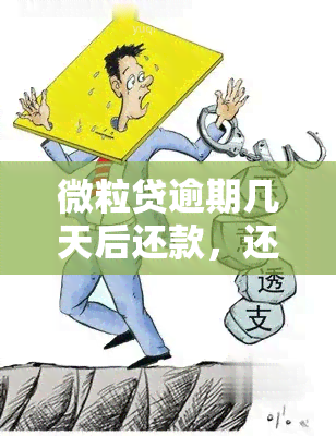 微粒贷逾期几天后还款，还会被吗？