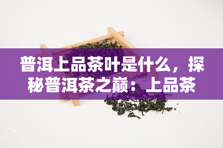 普洱上品茶叶是什么，探秘普洱茶之巅：上品茶叶的奥秘与魅力