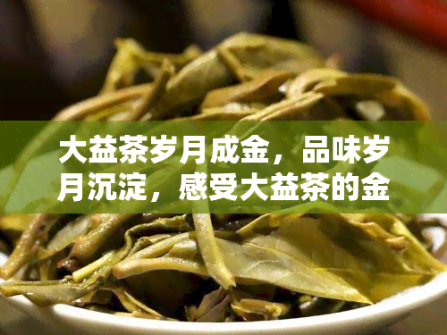 大益茶岁月成金，品味岁月沉淀，感受大益茶的金质魅力