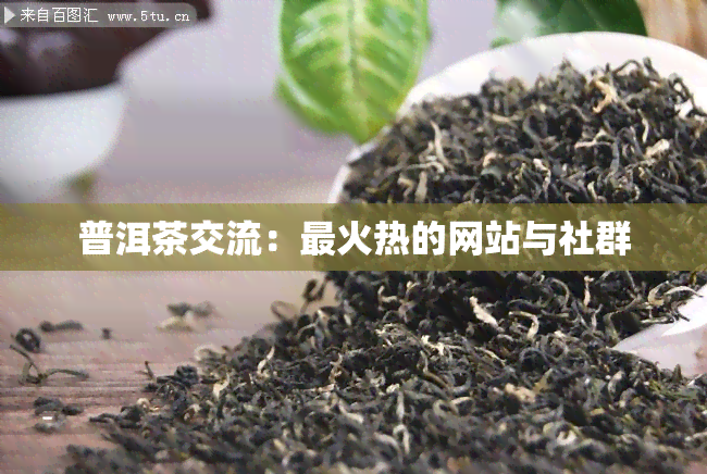 普洱茶交流：最火热的网站与社群