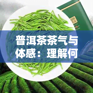 普洱茶茶气与体感：理解何为普洱茶的茶气