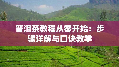 普洱茶教程从零开始：步骤详解与口诀教学