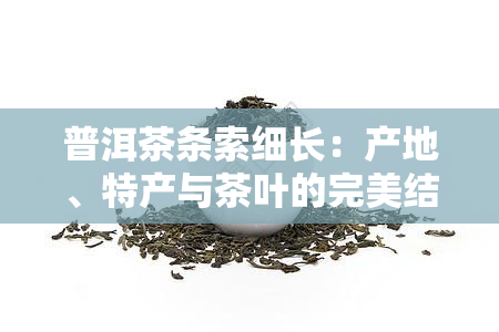 普洱茶条索细长：产地、特产与茶叶的完美结合