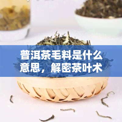 普洱茶毛料是什么意思，解密茶叶术语：何谓“普洱茶毛料”？