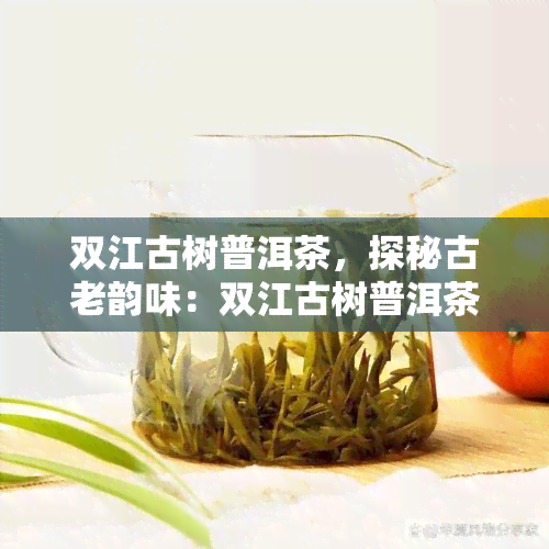 双江古树普洱茶，探秘古老韵味：双江古树普洱茶的独特魅力