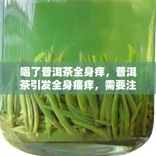 喝了普洱茶全身痒，普洱茶引发全身瘙痒，需要注意什么？