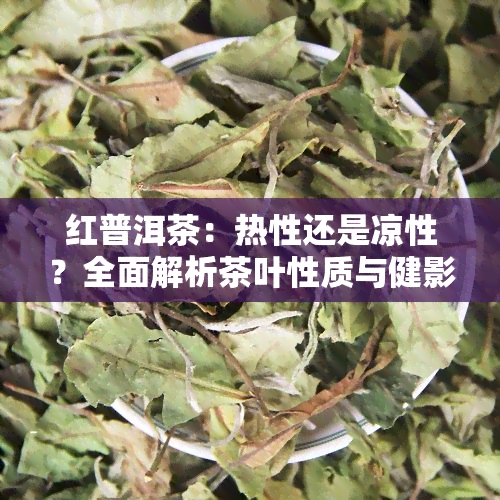 红普洱茶：热性还是凉性？全面解析茶叶性质与健影响