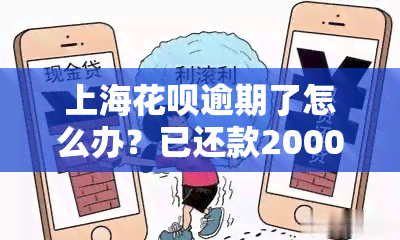 上海花呗逾期了怎么办？已还款2000多，期间逾期多少天会被起诉？