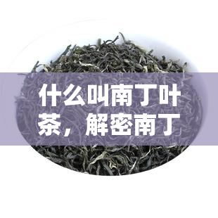 什么叫南丁叶茶，解密南丁叶茶：它到底是什么？