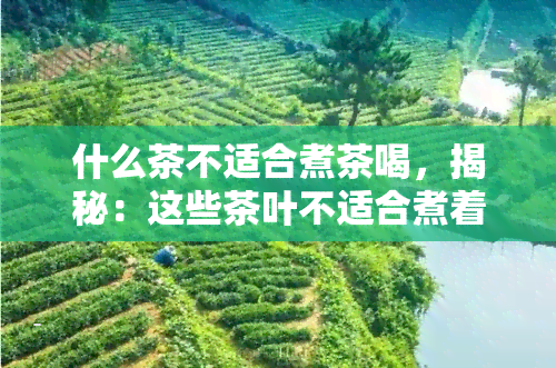 什么茶不适合煮茶喝，揭秘：这些茶叶不适合煮着喝，你还在这样做吗？