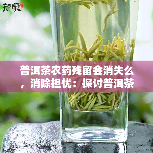 普洱茶农残留会消失么，消除担忧：探讨普洱茶农残留是否可以消失