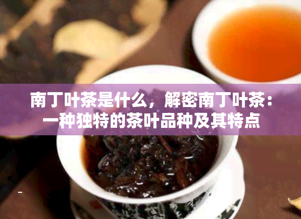 南丁叶茶是什么，解密南丁叶茶：一种独特的茶叶品种及其特点