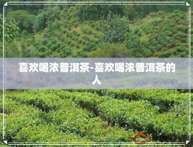 喜欢喝浓普洱茶-喜欢喝浓普洱茶的人