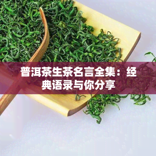 普洱茶生茶名言全集：经典语录与你分享