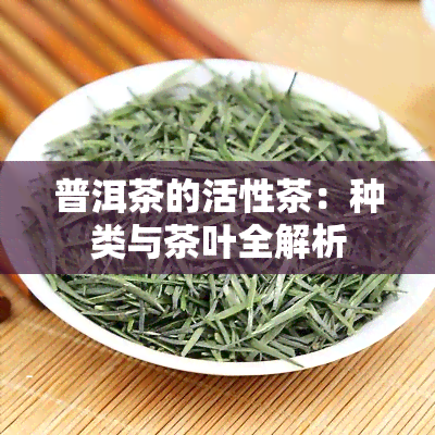 普洱茶的活性茶：种类与茶叶全解析