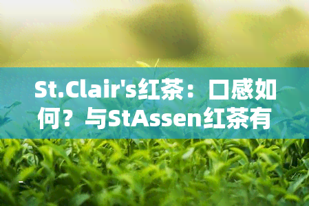 St.Clair's红茶：口感如何？与StAssen红茶有何不同？