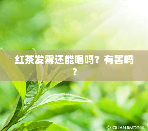 红茶发霉还能喝吗？有害吗？