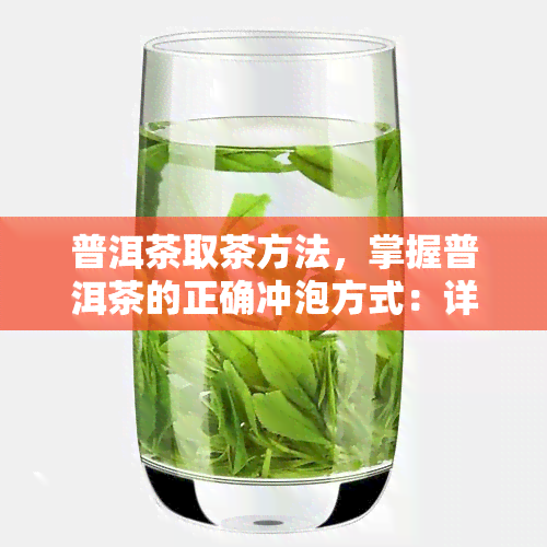 普洱茶取茶方法，掌握普洱茶的正确冲泡方式：详细取茶方法解析