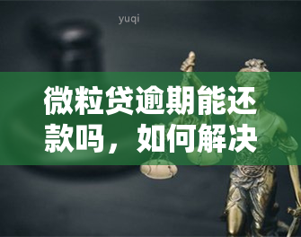 微粒贷逾期能还款吗，如何解决微粒贷逾期问题，按时还款指南