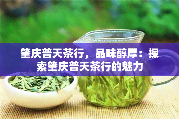 肇庆普天茶行，品味醇厚：探索肇庆普天茶行的魅力