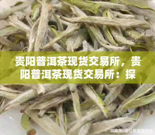 贵阳普洱茶现货交易所，贵阳普洱茶现货交易所：探索茶叶贸易新路径