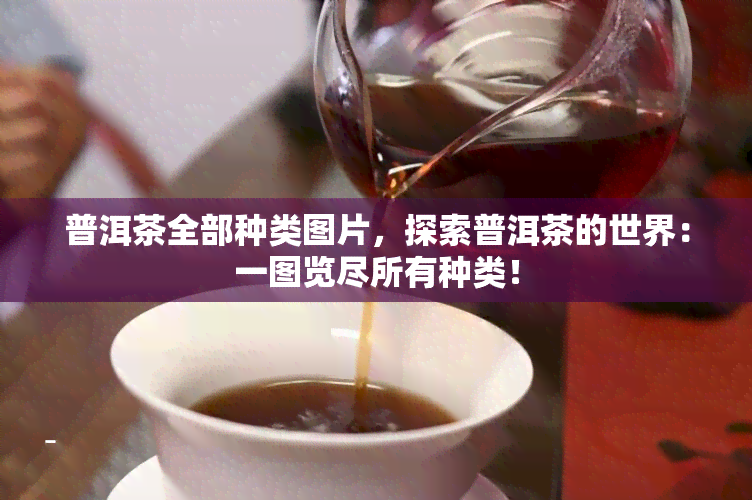 普洱茶全部种类图片，探索普洱茶的世界：一图览尽所有种类！