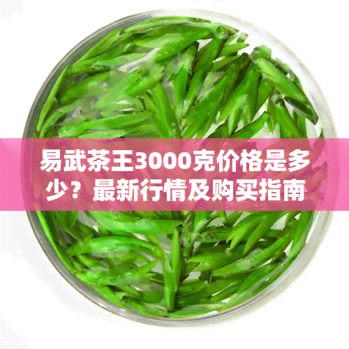 易武茶王3000克价格是多少？最新行情及购买指南