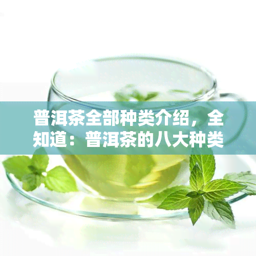 普洱茶全部种类介绍，全知道：普洱茶的八大种类详细介绍