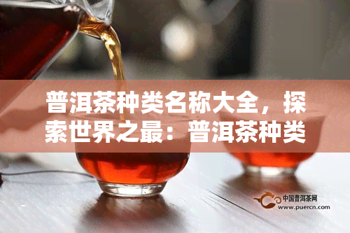 普洱茶种类名称大全，探索世界之最：普洱茶种类名称大全