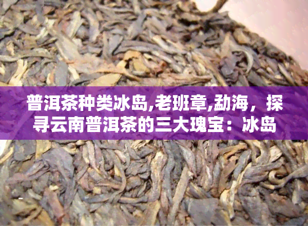 普洱茶种类冰岛,老班章,勐海，探寻云南普洱茶的三大瑰宝：冰岛、老班章与勐海