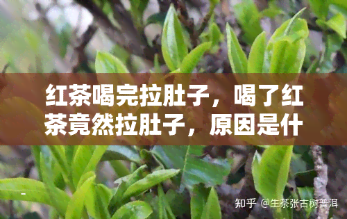 红茶喝完拉肚子，喝了红茶竟然拉肚子，原因是什么？