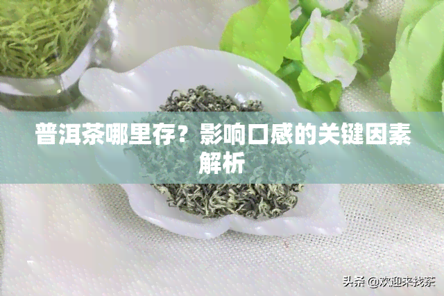 普洱茶哪里存？影响口感的关键因素解析