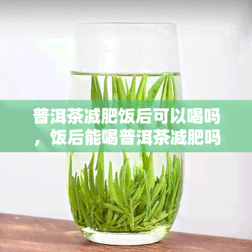 普洱茶减肥饭后可以喝吗，饭后能喝普洱茶减肥吗？关键在这里！