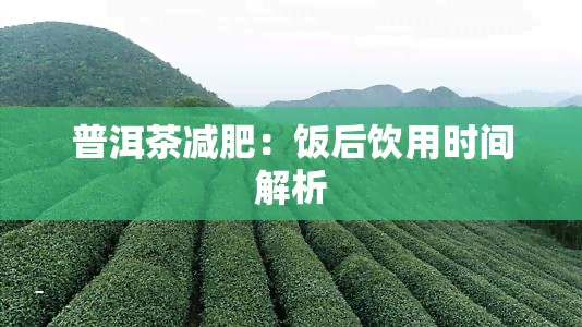 普洱茶减肥：饭后饮用时间解析