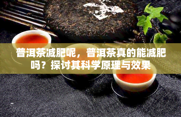 普洱茶减肥呢，普洱茶真的能减肥吗？探讨其科学原理与效果