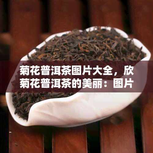 菊花普洱茶图片大全，欣菊花普洱茶的美丽：图片大全集