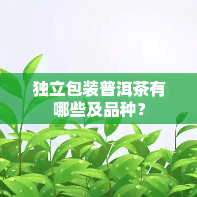 独立包装普洱茶有哪些及品种？