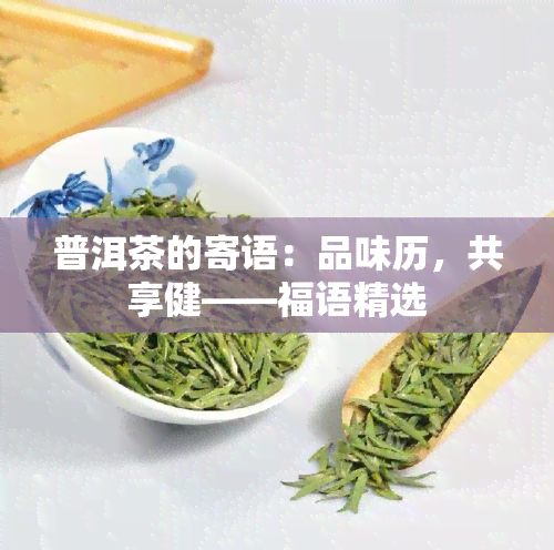 普洱茶的寄语：品味历，共享健——福语精选