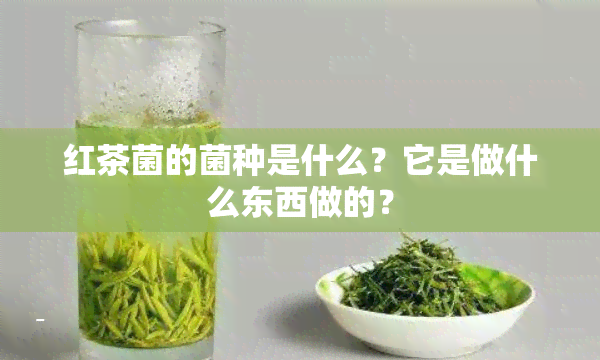 红茶菌的菌种是什么？它是做什么东西做的？