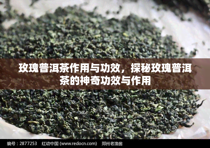 玫瑰普洱茶作用与功效，探秘玫瑰普洱茶的神奇功效与作用